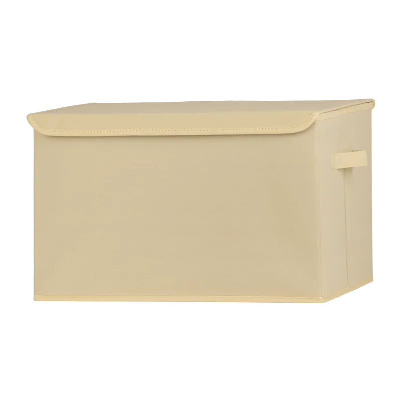 Organizator prostora